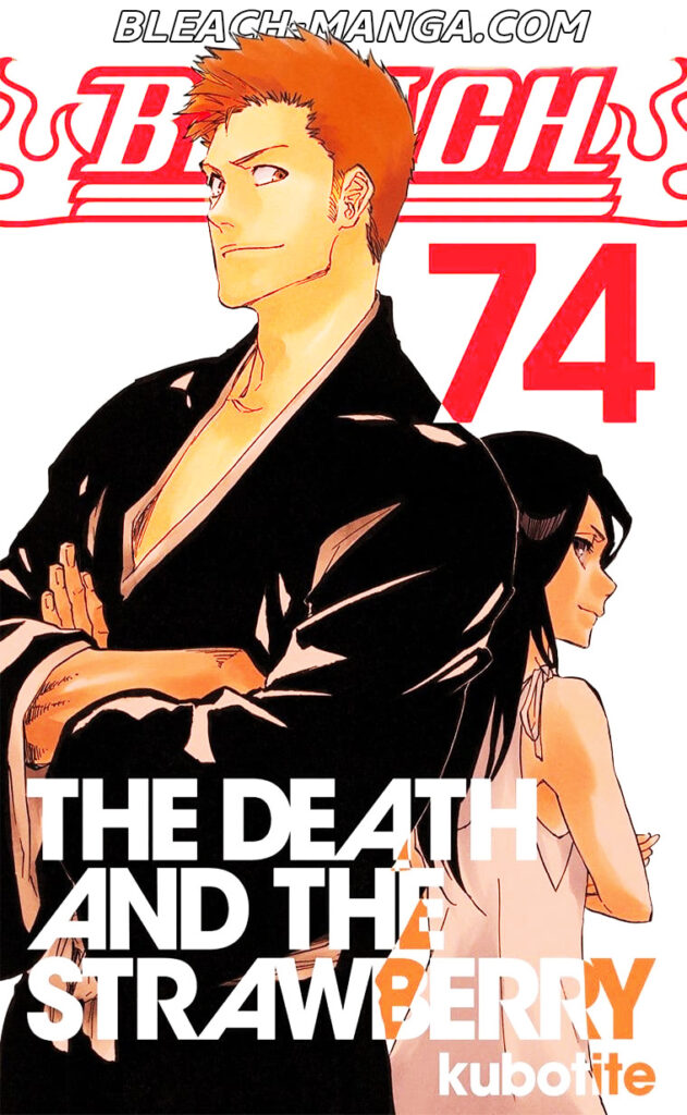 bleach manga chapter 74, bleach anime read manga